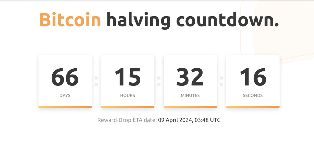 Đặt cược ngày halving Bitcoin so với dự đoán của Groundhog: Chọn chiến binh của bạn
